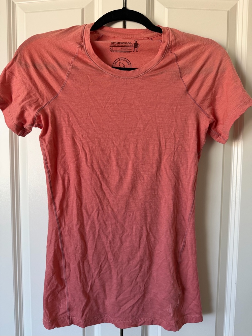 Smartwool Merino 150 Plant-based Dye T-shirt - Picture 2 of 4
